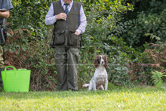 Sandringham Day 2 Sun 14th Sept 2025-55