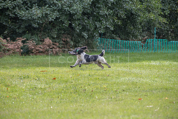 Sandringham Day 2 Sun 14th Sept 2025-74