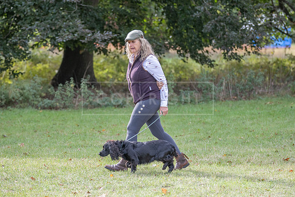 Sandringham Day 2 Sun 14th Sept 2025-78