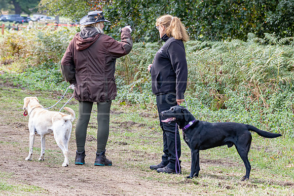 Sandringham Day 2 Sun 14th Sept 2025-85