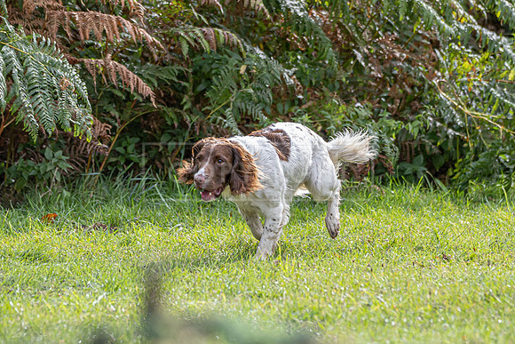 Sandringham Day 2 Sun 14th Sept 2025-87
