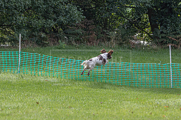 Sandringham Day 2 Sun 14th Sept 2025-89