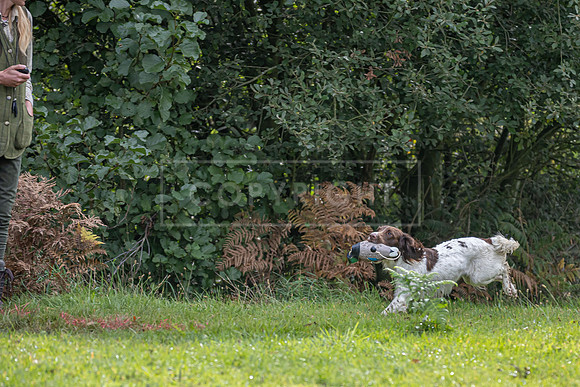 Sandringham Day 2 Sun 14th Sept 2025-90