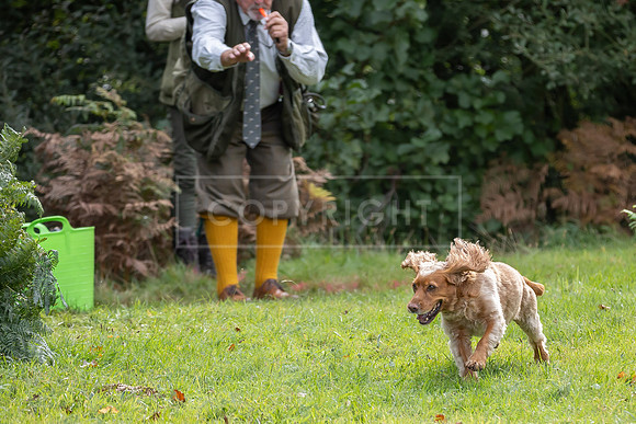 Sandringham Day 2 Sun 14th Sept 2025-112