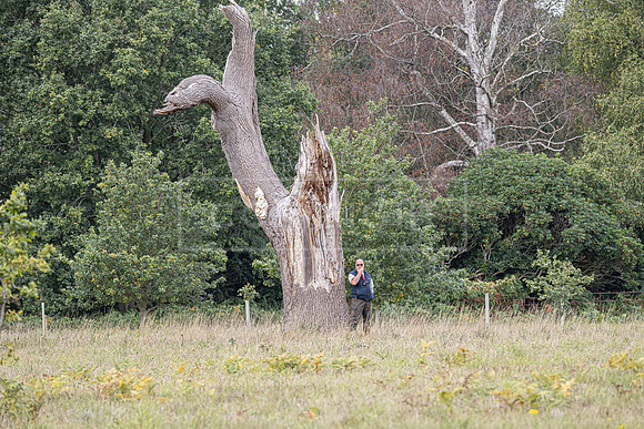 Sandringham Day 2 Sun 14th Sept 2025-132