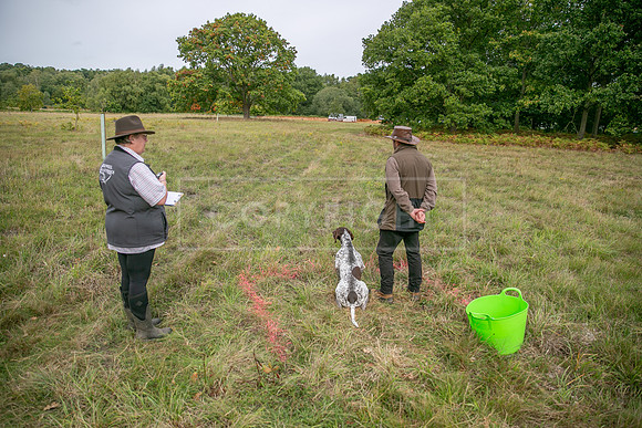 Sandringham Day 2 Sun 14th Sept 2025-137