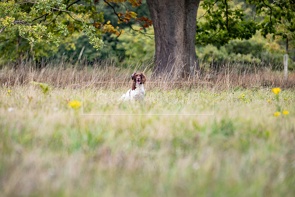 Sandringham Day 2 Sun 14th Sept 2025-150