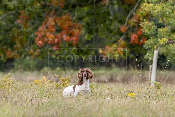 Sandringham Day 2 Sun 14th Sept 2025-147
