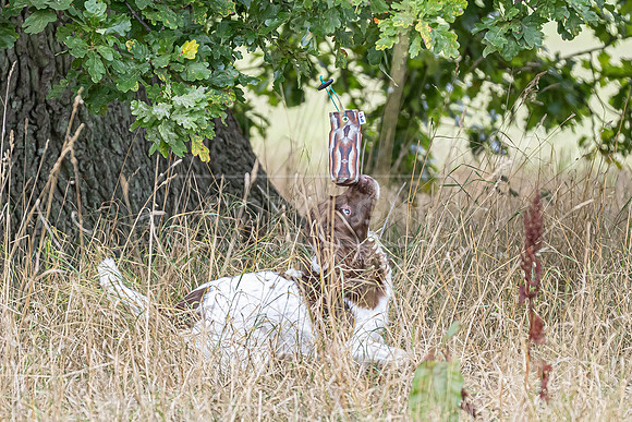Sandringham Day 2 Sun 14th Sept 2025-156