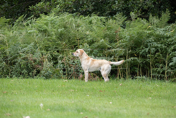 Sandringham Day 2 Sun 14th Sept 2025-158