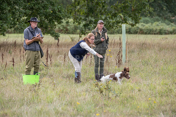Sandringham Day 2 Sun 14th Sept 2025-196