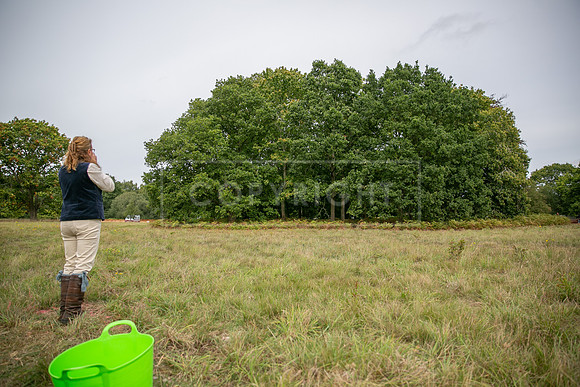 Sandringham Day 2 Sun 14th Sept 2025-198