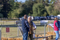 Sandringham Day 1 Sat 13th Sept 2025-8
