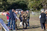 Sandringham Day 1 Sat 13th Sept 2025-10