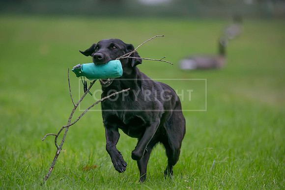 Jixenwell Scurry Challenge Final 2024-0118