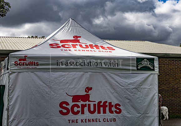 Scruffts heat @ Detling 21st September 2025-3