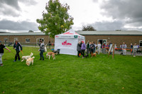 Scruffts heat @ Detling 21st September 2025-4