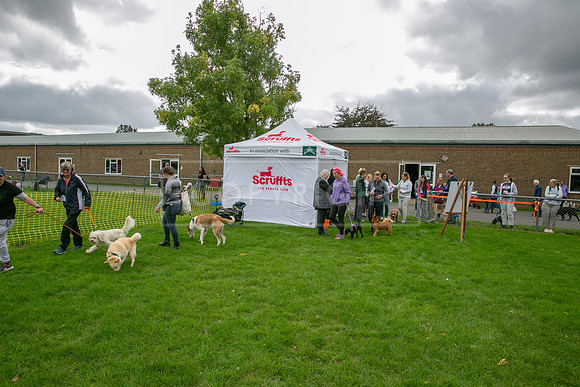 Scruffts heat @ Detling 21st September 2025-4