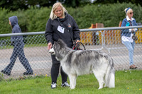 Scruffts heat @ Detling 21st September 2025-6