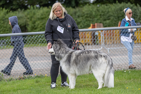 Scruffts heat @ Detling 21st September 2025-6