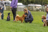Scruffts heat @ Detling 21st September 2025-10