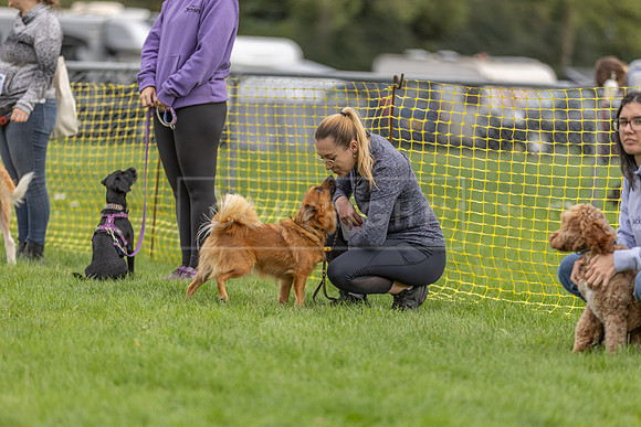 Scruffts heat @ Detling 21st September 2025-10