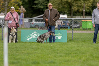 Scruffts heat @ Detling 21st September 2025-7