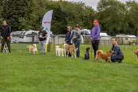 Scruffts heat @ Detling 21st September 2025-9