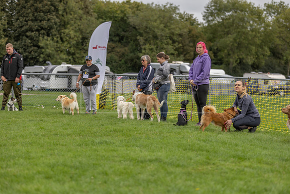 Scruffts heat @ Detling 21st September 2025-9