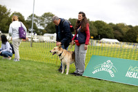 Scruffts heat @ Detling 21st September 2025-11