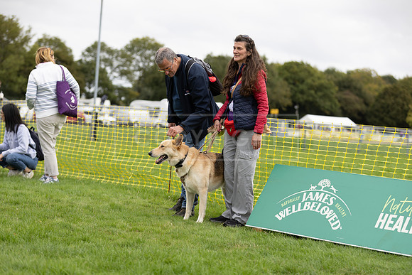 Scruffts heat @ Detling 21st September 2025-11
