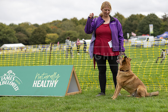 Scruffts heat @ Detling 21st September 2025-12