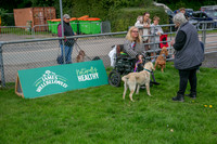 Scruffts heat @ Detling 21st September 2025-16