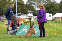 Scruffts heat @ Detling 21st September 2025-19