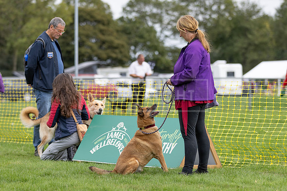 Scruffts heat @ Detling 21st September 2025-19