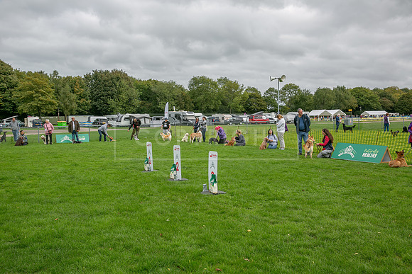 Scruffts heat @ Detling 21st September 2025-17