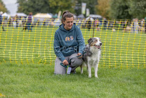 Scruffts heat @ Detling 21st September 2025-18