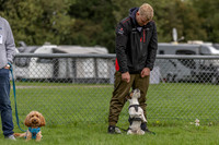 Scruffts heat @ Detling 21st September 2025-20