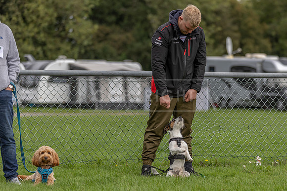 Scruffts heat @ Detling 21st September 2025-20