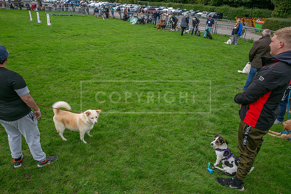 Scruffts heat @ Detling 21st September 2025-24