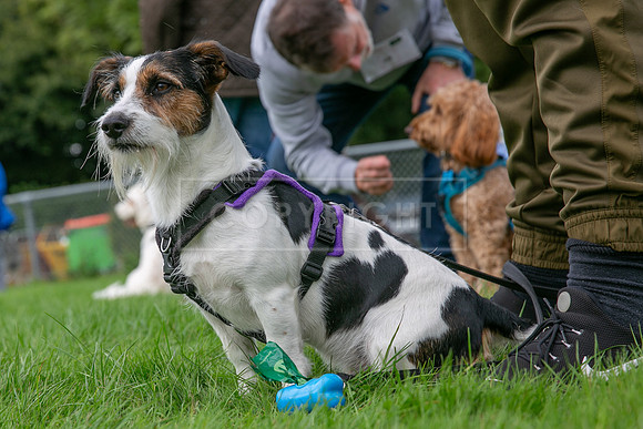 Scruffts heat @ Detling 21st September 2025-25