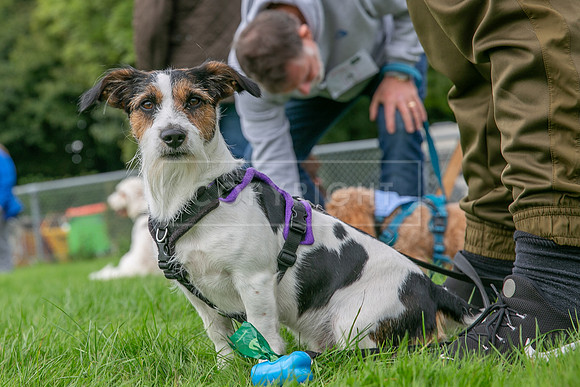 Scruffts heat @ Detling 21st September 2025-26