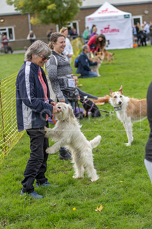 Scruffts heat @ Detling 21st September 2025-27
