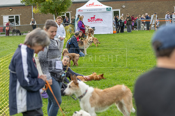 Scruffts heat @ Detling 21st September 2025-28