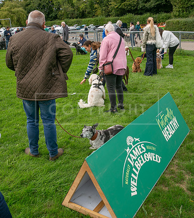Scruffts heat @ Detling 21st September 2025-29
