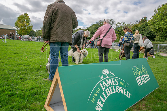 Scruffts heat @ Detling 21st September 2025-32