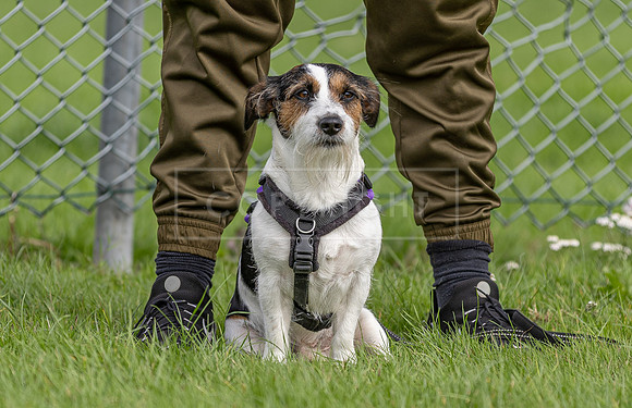 Scruffts heat @ Detling 21st September 2025-34