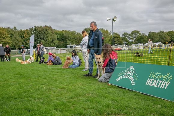 Scruffts heat @ Detling 21st September 2025-35