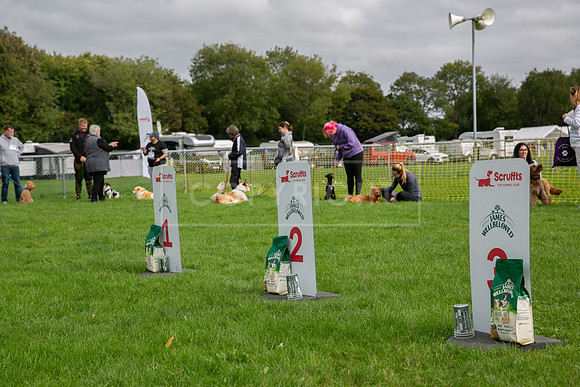 Scruffts heat @ Detling 21st September 2025-38