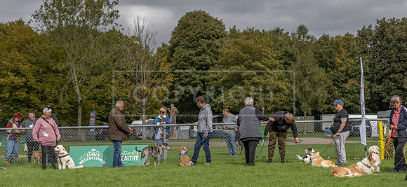 Scruffts heat @ Detling 21st September 2025-37